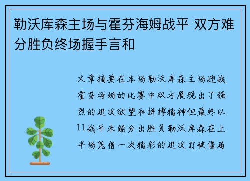 勒沃库森主场与霍芬海姆战平 双方难分胜负终场握手言和